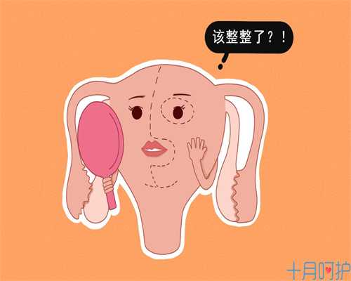 <b>上海代生流程和费用，上海第三代试管婴儿治疗流程上海第三代试管婴儿</b>