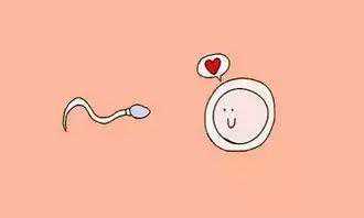 长沙51岁借卵&长沙供卵公司排名,长沙人工助孕好还是试管好、人工受孕长沙哪