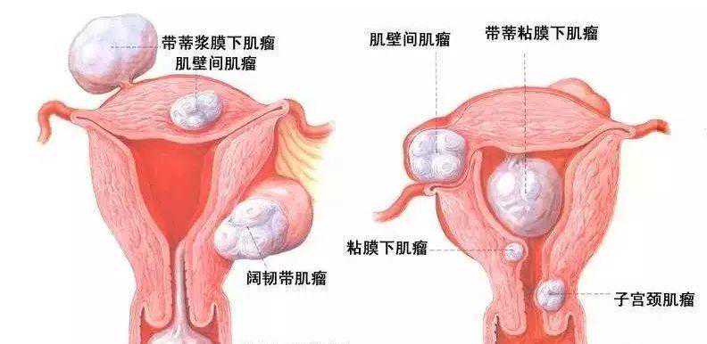 上海供卵志愿者群，上海供卵试管婴儿操作步骤（上海供卵公司）