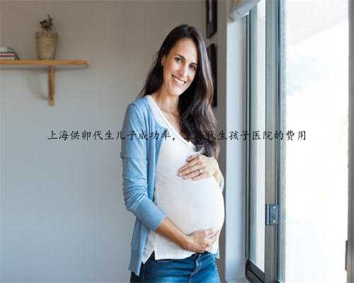 上海供卵代生儿子成功率，上海代生孩子医院的费用