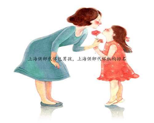 上海供卵代怀包男孩，上海供卵代怀机构排名
