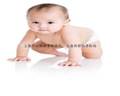 上海可以做助孕的医院，上海供卵助孕机构