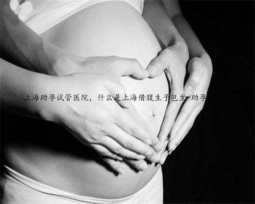上海助孕试管医院，什么是上海借腹生子包生-助孕方案？