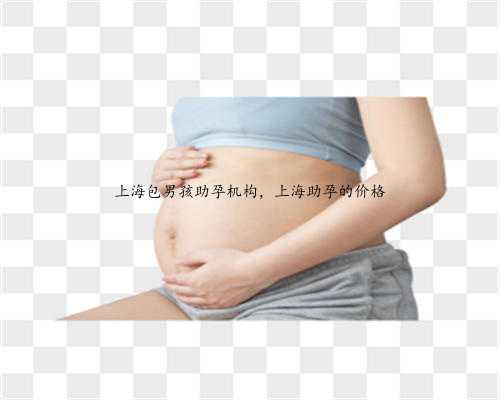 上海包男孩助孕机构，上海助孕的价格
