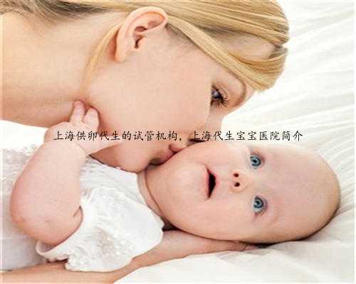 上海供卵代生的试管机构，上海代生宝宝医院简介
