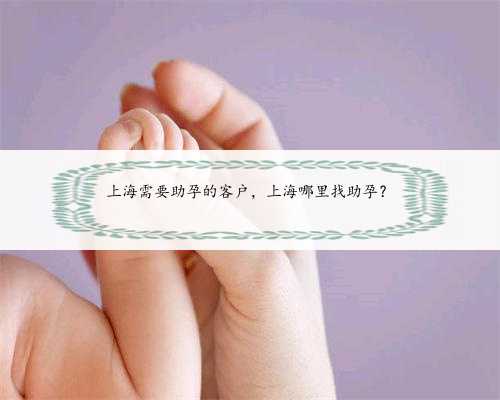 上海需要助孕的客户，上海哪里找助孕？