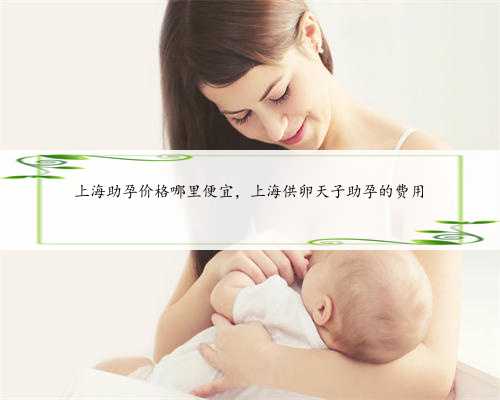 上海助孕价格哪里便宜，上海供卵天子助孕的费用