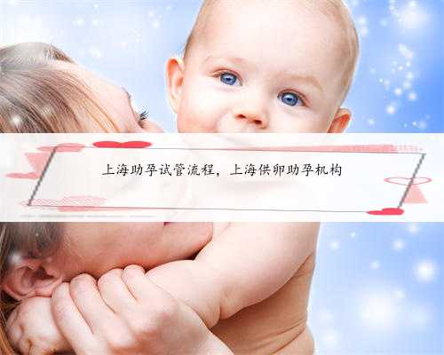 上海助孕试管流程，上海供卵助孕机构