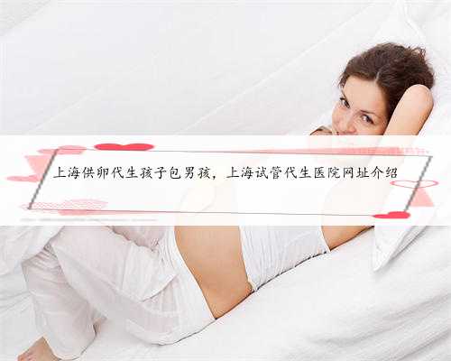 上海供卵代生孩子包男孩，上海试管代生医院网址介绍