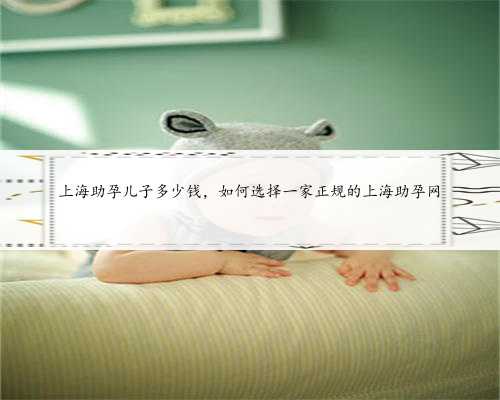 <b>上海助孕儿子多少钱，如何选择一家正规的上海助孕网</b>