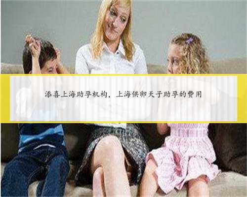 <b>添喜上海助孕机构，上海供卵天子助孕的费用</b>