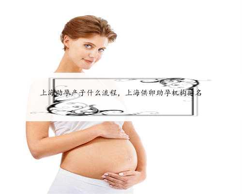 上海助孕产子什么流程，上海供卵助孕机构排名