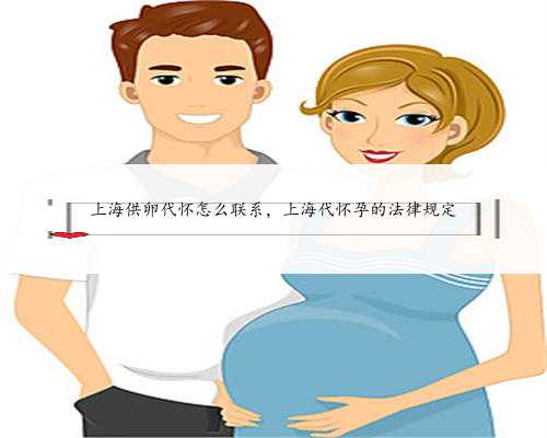 上海供卵代怀怎么联系，上海代怀孕的法律规定