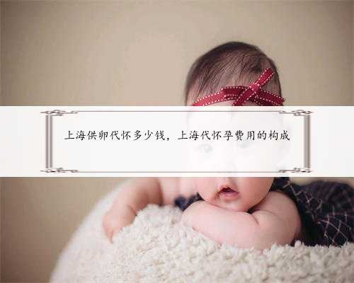 上海供卵代怀多少钱，上海代怀孕费用的构成
