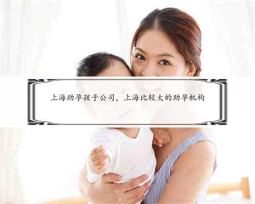 上海助孕孩子公司，上海比较大的助孕机构