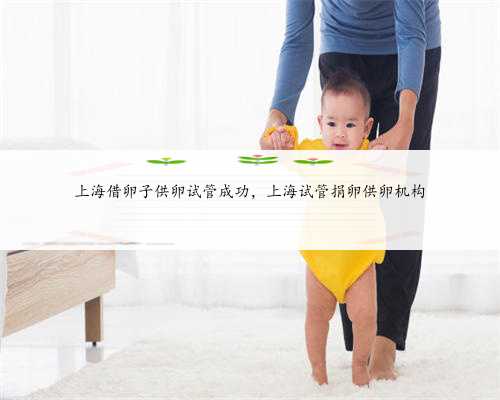 上海借卵子供卵试管成功，上海试管捐卵供卵机构