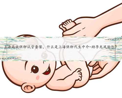 <b>上海高效供卵试管套餐，什么是上海供卵代生中介-助孕龙凤胎包？</b>