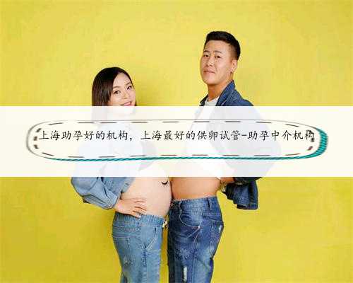 上海助孕好的机构，上海最好的供卵试管-助孕中介机构