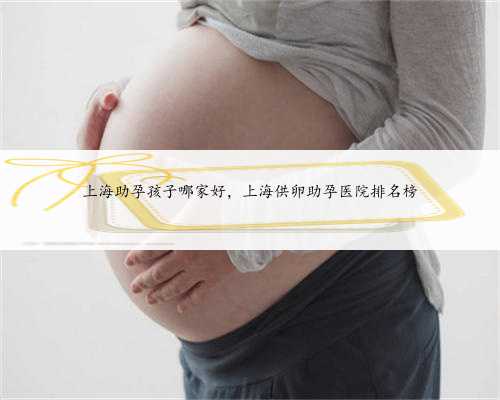 <b>上海助孕孩子哪家好，上海供卵助孕医院排名榜</b>