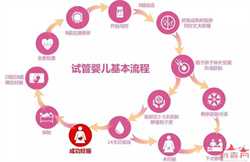 北京代孕公司具体位置，北京供卵公司博诺（上海世纪供卵试管公司）