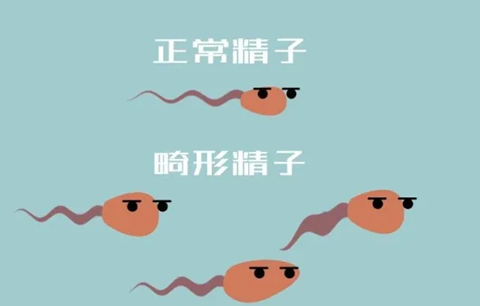 上海助孕代妈公司，上海三代试管助孕公司排名榜最新名单